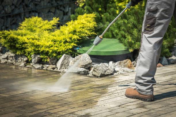 Animal Enclosure Cleaning in Granite Falls, NC